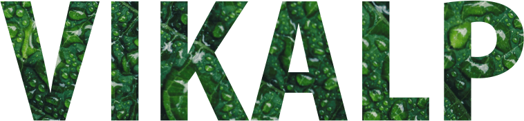 Project Vikalp