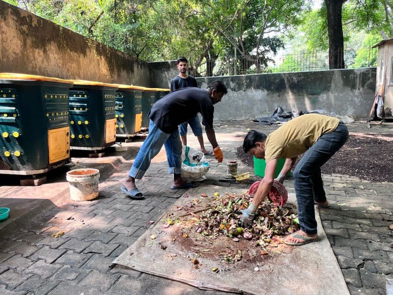 In city of trash towers, South Delhi colony in 8th year of zero waste